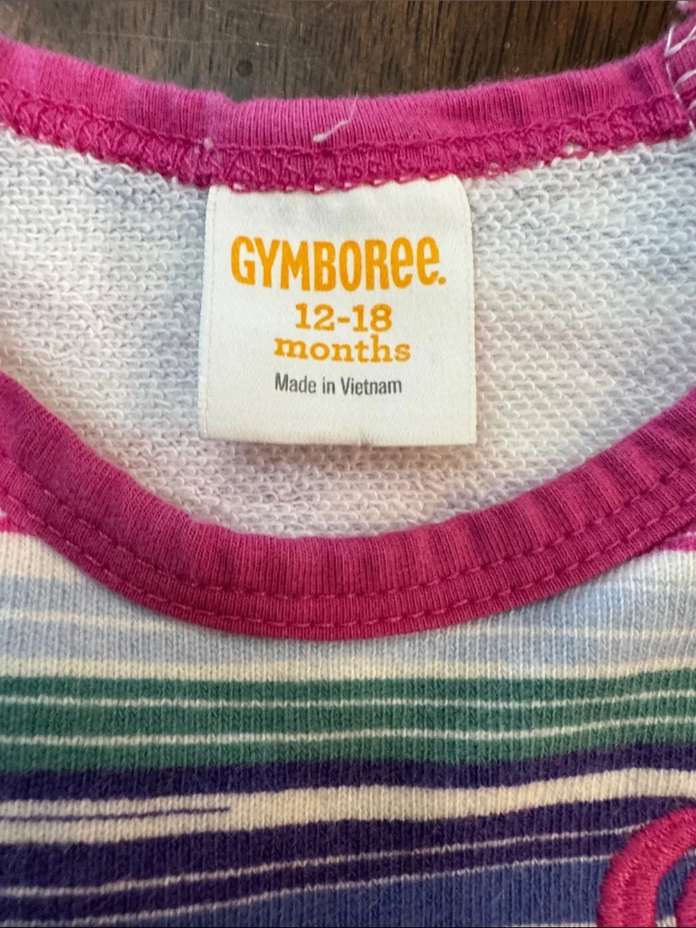 Gymboree Pink, Purple & Blue Striped Girls Set with Floral Appliqués